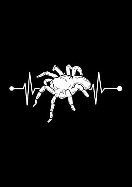 Spider Heartbeat
