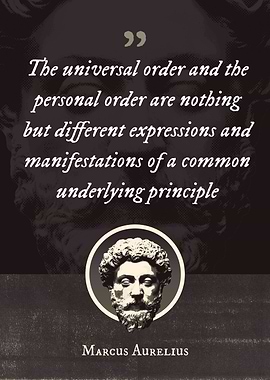 The universal order and