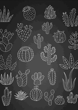 plants by illustrator