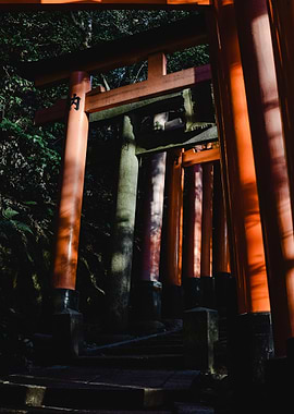 Torii Gates Line