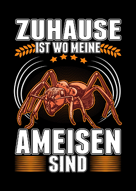 Ameisen Zuhause