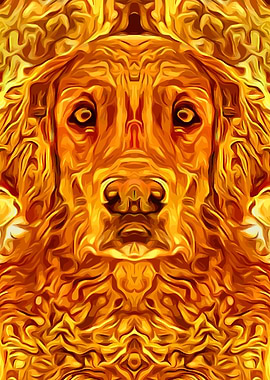 Golden Retriever 3