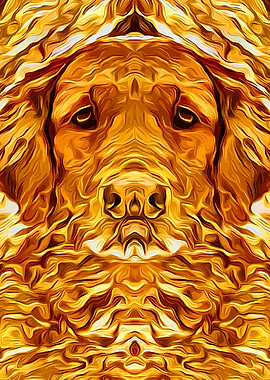 Golden Retriever 2
