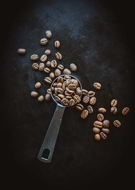 green coffee bean quality