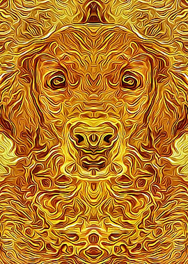 Golden Retriever 6
