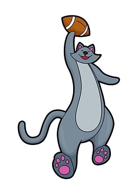 Cat Football Sports