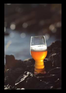 Beer Drinker Drinking