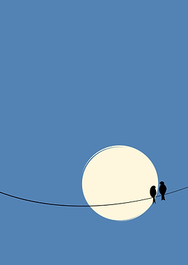 sunset isolate two birds