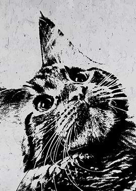 Cute little Cat Wall Art