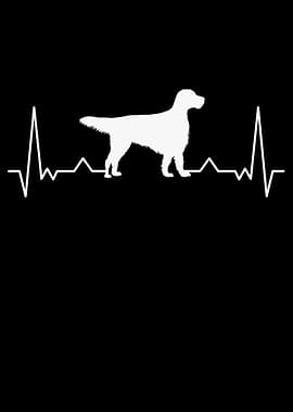 English Setter Heartbeat