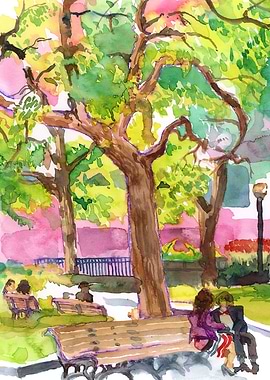 Tree Dorchester Montreal