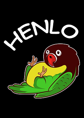 Lovebird Henlo Bird Enthus