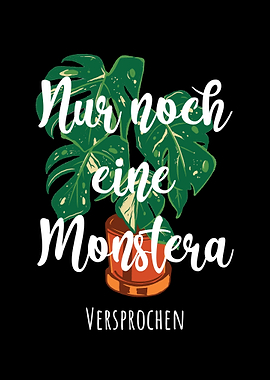 Nur noch eine Monstera