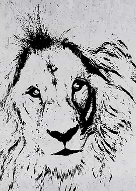 Lion Portrait Black Sketch