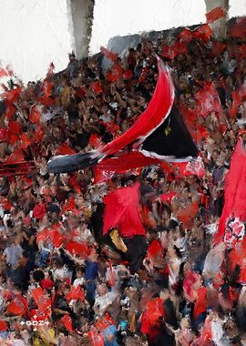 Public Stade Toulousain