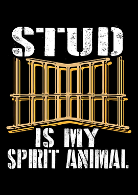 Carpenter Woodworker