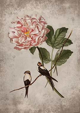 Swallow and Peony