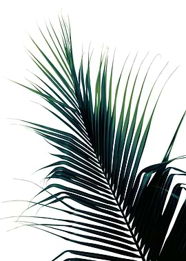 Palm Leaf Green Delight 1