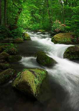 Spring green Oirase Creek