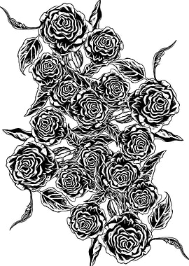 Black Roses