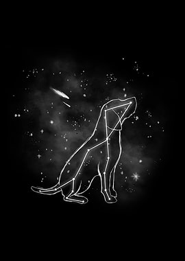 Dog Star Sign Birthday