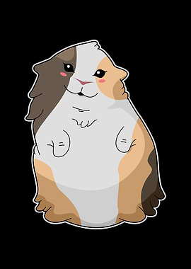 Guinea Pig Hamster Pet