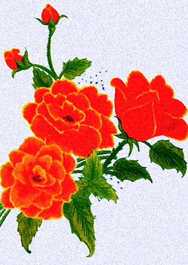 Orange Flowers