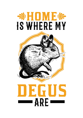 Home Is Where My Degus Are