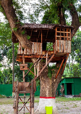 Tree House
