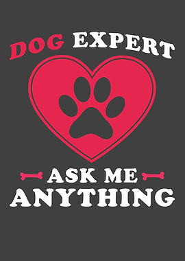 Dog Dog Expert