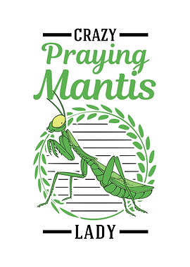 Crazy Praying Mantis Lady