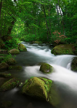 Spring green Oirase Creek