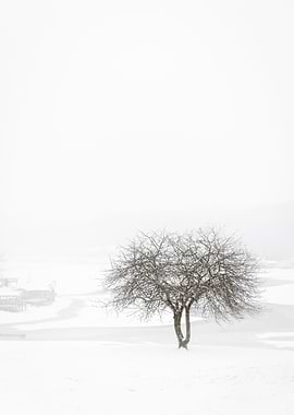 Appel Valley December 2020