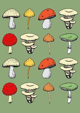 Cottagecore Mushroom Fungi