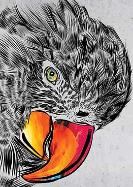 Macaw Parrot Sketch Art