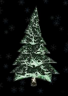 Winter Tree