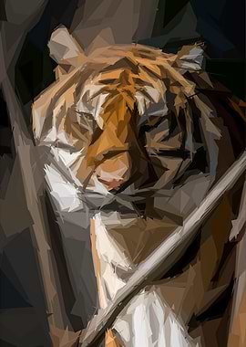 Wild Tiger Encounter