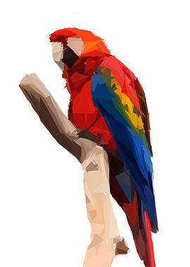 Geometric Tropical Macaw