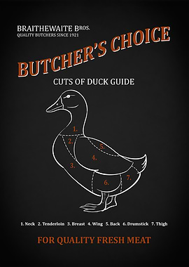Duck Butchery Guide