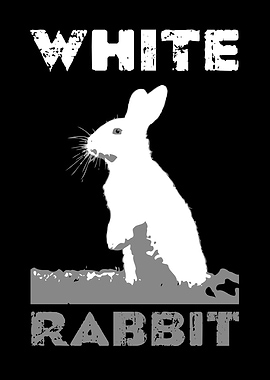 White Rabbit