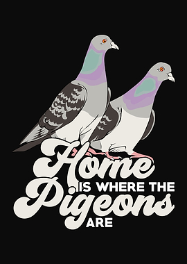 Pigeons Breeder Design