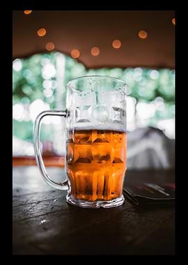 Beer Drinker Drinking