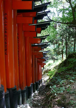 Torii Kyoto