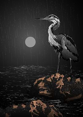 Crane Tropical Maldives