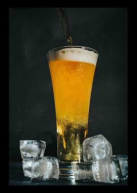 Beer Drinker Drinking