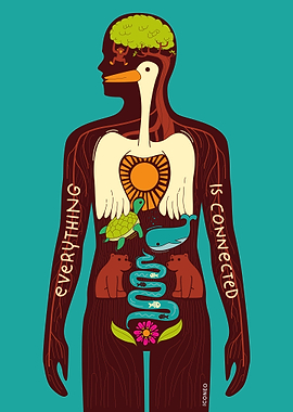 Everything is connected