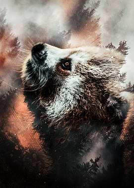 Forest Panda