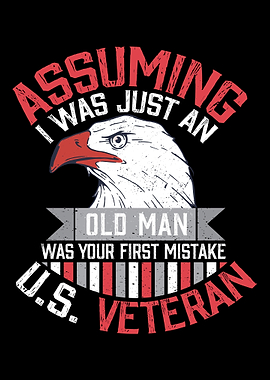 Veteran Veterans Day Army