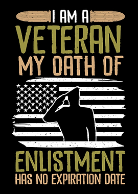 Veteran Veterans Day Army