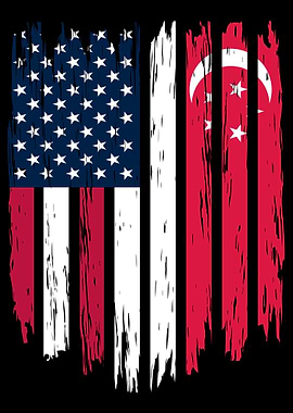 Foreigner Stranger USA